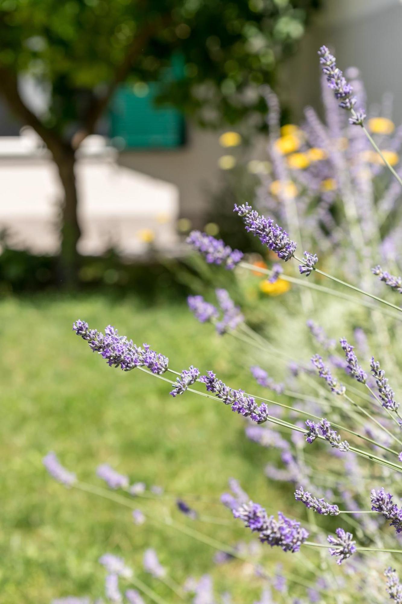 Tonina Apartment - house w free parking, terrace, garden, BBQ Split Buitenkant foto